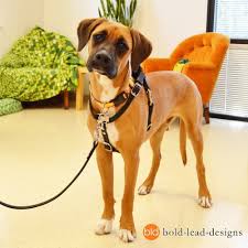 Brahma Connected Control Harness No Pull Dog Walking Harness Vegan Waterproof Perros
