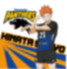 В центре сюжета обычный двенадцатилетний подросток, сёё хината. If Hinata Played For The Panasonic Panthers Haikyuu
