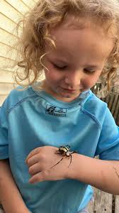 What is this object found in a Phoenix, AZ house?