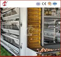 Bestchickencage H Type Breeder Cage Layer Cage China Portable Chicken Layer  Coop Supplier OEM Customized High Utilization Rate Mobile Chicken Layer  House