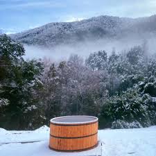 Valle Aloncura Pucon