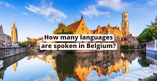 Borrowed from latin belgium, from the name of the tribe of belgae. What Languages Are Spoken In Belgium Lingoda