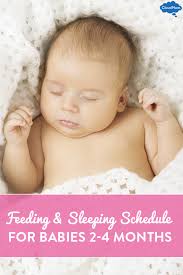 Breastfeeding Sleeping Schedules For Babies 2 To 4 Months