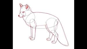 Once you cleaned up the guidelines and shapes that you drew in step one, your drawing should come out looking as cute as the one you see here. 3 Ways To Draw A Fox Wikihow