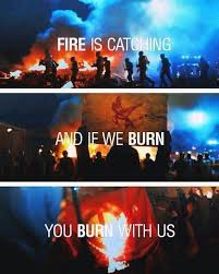 Fire Is Catching And If We Burn You Burn With Us Katniss Mockingjay Hunger Games Quotes Hunger Games Hunger Games Fandom