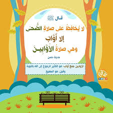 عن أبي هريرة رضي الله عنه عن رسول الله صلى الله عليه وسلم قال: لا يُحَافِظُ على صلاةِ الضُّحَى إلا أَوَّابٌ وهي صلاةُ الأَوَّابِينَ. ÙƒÙŠÙÙŠØ© ØµÙ„Ø§Ø© Ø§Ù„Ø¶Ø­ÙŠ