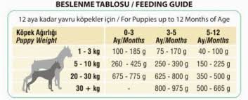 Golden Retriver Icin Gerekenler