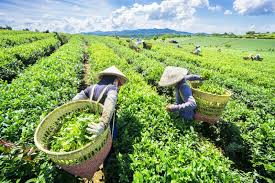 Bài 2: Cuộc chơi toàn cầu và những thách thức chính sách
