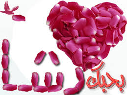 Pin By وردة الياسمين On Erdogan Sahin Islam Gif Panosu Islam Gifs Flowers Rose Plants