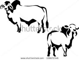 Simple element illustration from india concept icons. Brahman Cow Art Brahman Show Cattle