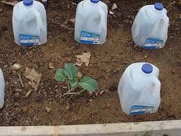 Pin On Outdoors And Gardening