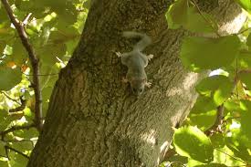 Read hotel reviews and choose the best hotel deal for your stay. From Eichgraben To The Roman Cemetery Hiking Route Outdooractive Com