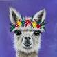 Alpaca  event image