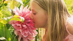 Booze-makers Become Germ-busters to Help Stop COVID-19