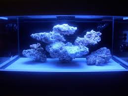 Saltwater tanks are absolutely beautiful, but they do take a lot of work. Minimalist Aquascaping Page 59 Reef Aquascaping Saltwater Tank Reef Tank Aquascaping