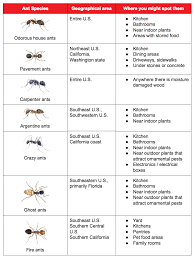 Carpenter ant prevention and control are explained, as well as the biology and behaviors of carpenter ants. Ant Identification Chart Danada