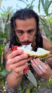 Mamey Fruit: A Tropical Delight