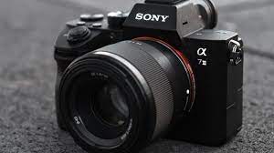 Best Professional Mirrorless Cameras In 2021 Mirrorless Camera Best Camera Camera