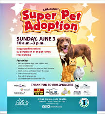 Pet sitter/ day care for pups, cats and dogs. Irvine Animal Care Center Melissa Fox For California