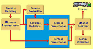 Ethanol Production Process Cellulosic Biomass