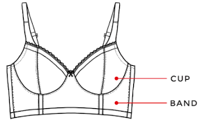 We did not find results for: Bra Size Converter Uk Usa Fr Australia And New Zealand