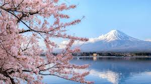 51 Japan Captions For Instagram Puns Quotes Short Captions Traveller S Elixir