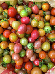 Start with a disease resistant variety, such as the cherry tomato, sweet chelsea hybrid. How To Grow Tomatoes In Houston Pilar S Chilean Food Garden