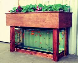Aquaponics System Aquaponic Garden Small Set Up Would Be Great Indoors Actually This Is Pretty Nea Indoor Aquaponics Aquaponic Gardening Aquaponics System