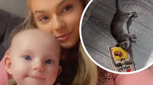 "They chew through walls... and leave their babies": The families held to  siege by rats