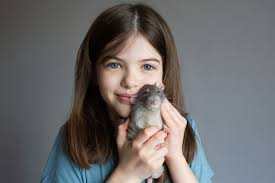 Well, the good news is we did most of th e research for you. 11 Best Small And Low Maintenance Pets For Kids To Consider