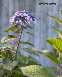 Lisa Grunwald (@lisagrunwald) • Instagram photos and videos