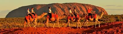 Take the ultimate camel adventure, at uluru camel tours we are an owner operated tour business based in the heart of australia, the red centre. Take A Camel Ride In Uluru
