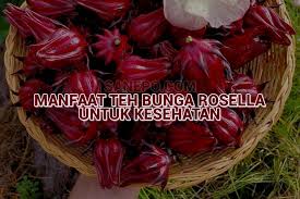 Kandungan vitamin c dalam bunga rosella dapat membantu meningkatkan sistem kekebalan tubuh. Teh Dari Bunga Rosella Yang Bermanfaat Bagi Kesehatan