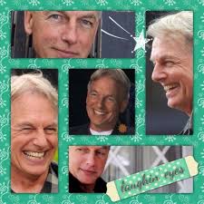 Floot S Toots Mark Harmon Ncis Cast Ncis Stars