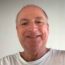 Accidentally removed left turn signal lens from car