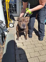 Community Forum of Hackettstown