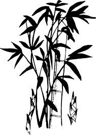 Black White Illustration Bamboo Stock Illustrations 8 037 Black White Illustration Bamboo Stock Illustrations Vectors Clipart Dreamstime Bamboo tree vector pattern black and white. illustration bamboo stock illustrations