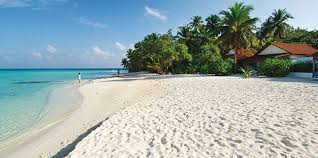 Bowling league results for 2021 fri holiday city south at playdrome toms river. 4 Days Zanzibar White Sand Holiday Bush 2 City Adventure Island Resort Maldives Holidays Maldives Hotel