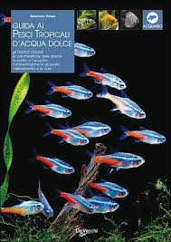Home » filtraggio » filtri interni. 10 Pesci Facili Per L Acquario D Acqua Dolce