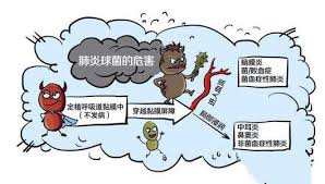 肺炎链球菌（sp）是肺炎的主要诱因之一，新生儿与老年人负担较重，且在新冠疫情期间出现大量合并感染。沃森的重磅产品是 23 价肺炎球菌多糖疫苗（ppsv23）和 13 价肺炎球菌联合疫苗（pcv13）。 13ä»·å'Œ21ä»·è‚ºç‚ŽçƒèŒç–«è‹—æœ‰ä½•åŒºåˆ« å„¿ç«¥è¦ä¸è¦æŽ¥ç§ æ¯æ—¥å¤´æ¡
