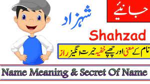 Pin On Ayesha Abid
