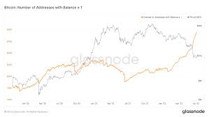 Small Bitcoin Investors Actively Accumulate Cryptocurrency