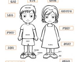 Free worksheet templates for body parts vocabulary from tools for educators. Body Parts Linking Activity