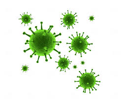 Download free viruses transparent pngs. Pin On Children Illustration