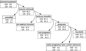 Flow Chart Of The Outcome Of Ivf And Icsi Treatment In Women