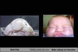 The u/blobfisch11 community on reddit. Blobfisch Posts Facebook