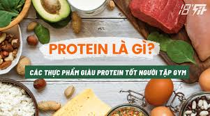 Protein là gì? Thực phẩm nào giàu protein tốt cho người tập gym?