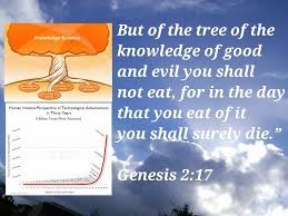Pin On Trust God