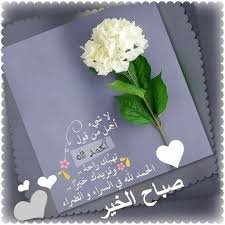Desertrose والع سر مهما قسا فالي سر يتبعه وعد من الله وهذا الوعد يكفينا Good Morning Flowers Happy Birthday Pictures Happy Birthday Wishes Photos