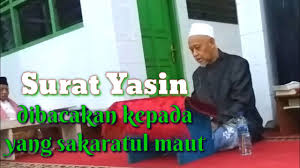 Asbabun nuzul (sebab turun) surat yasin adalah pada waktu itu kaum kafir quraisy tidak beriman terhadap kenabian nabi muhammad saw. Asbabun Nuzul Surat Yasin Dalam Kitab Tafsir Yasin Youtube